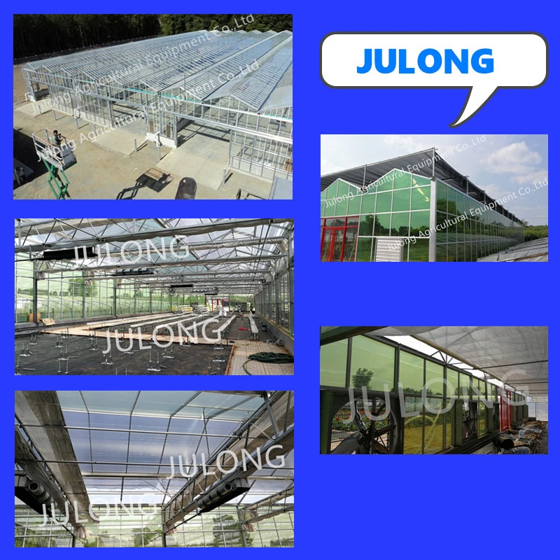 Big Manufacture Commercial Greenhouse Glass Venlo Greenhouses From China