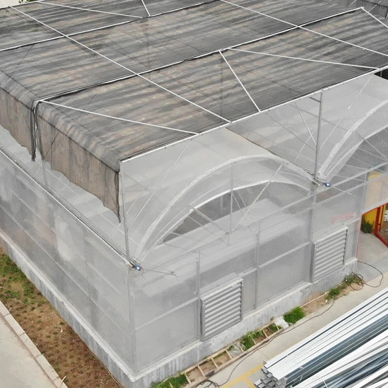 200 Micron Poly Tunnel Greenhouse for Cucumber