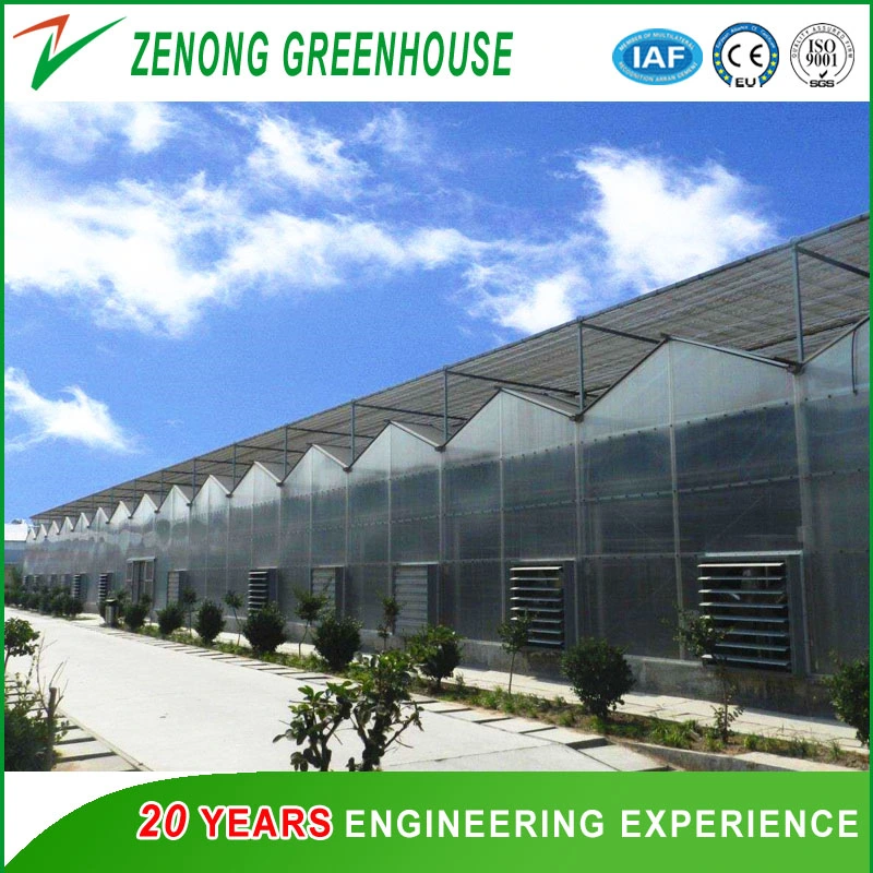 Easy Control Intelligent Hydroponic Greenhouse PC Sheet/ Glass Greenhouse for Seed Breeding/ Seedlings/ Restaurant/ Experiment