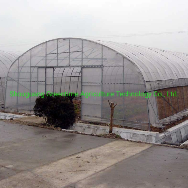 Single Span Tunnel Greenhouse for Fruit/Cucumber Planting