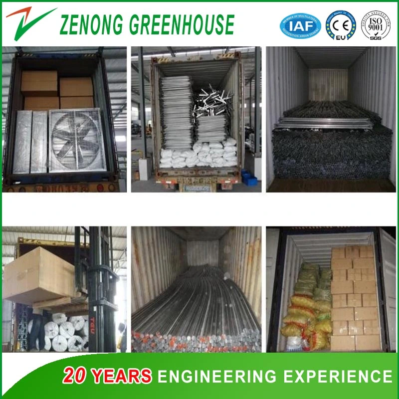 Low Cost Hot Sale Agricultural/Commercial Plastic Film Greenhouse Philippines