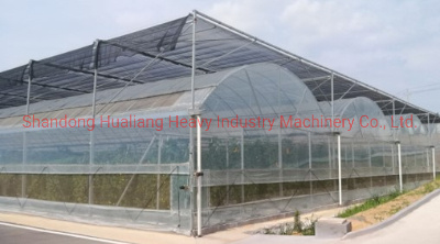 Plastic Film Green House with Hydroponics System for Growing Tomato