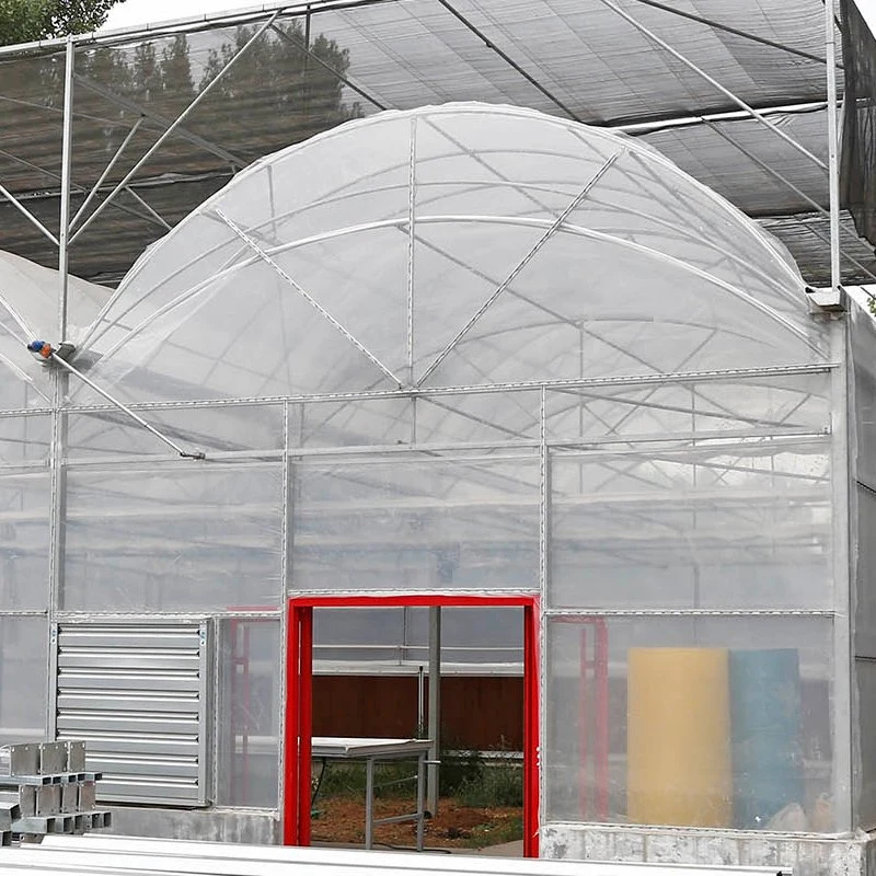 Plastic Tunnel Greenhouse for Vegetables Used