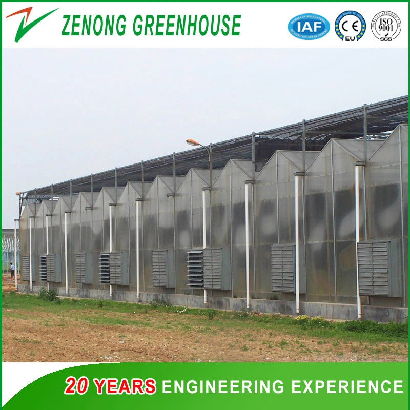 Multi-Span Intelligent Greenhouse Covered with Polycarbonate Sheet for Seedling Raising