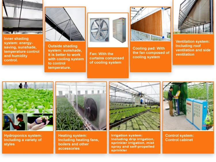 Customized Vertical Farming Po/PE/Plastic Film Plant/Strawberry/Tomato/Cucumber/Flower Greenhouse with Hydroponic Equipments