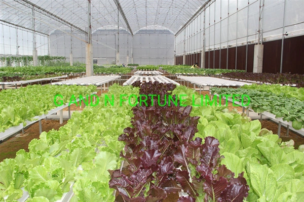 Hydroponic System Vertical Farming Greenhouses Nft Hydroponic Channel System