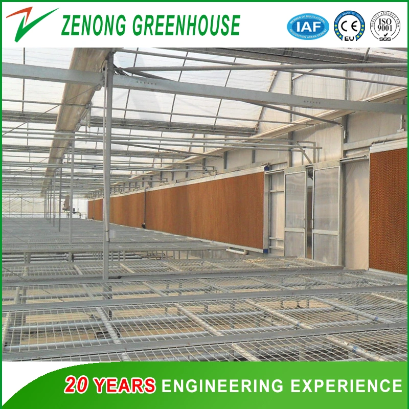 Polytunnel Curved Arch Plastic Film Greenhouses with Shading System for Cooling Down