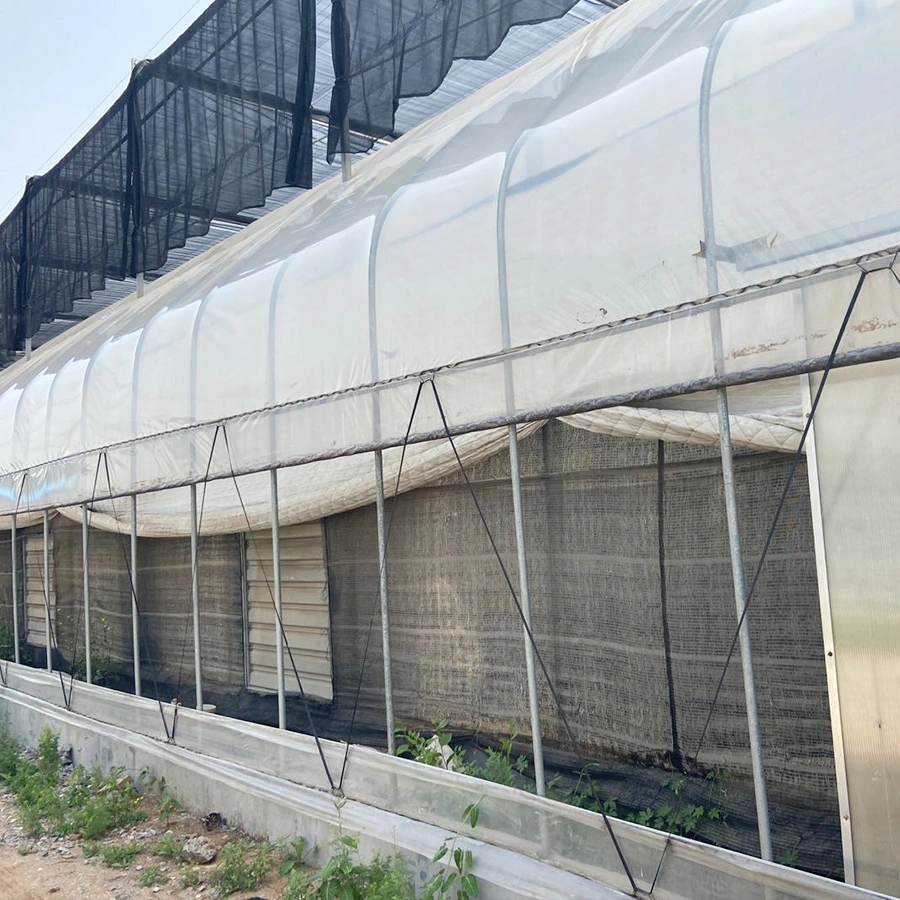 Automatic Shading System Po Film Cheap Multi-Span Hydroponic Greenhouse
