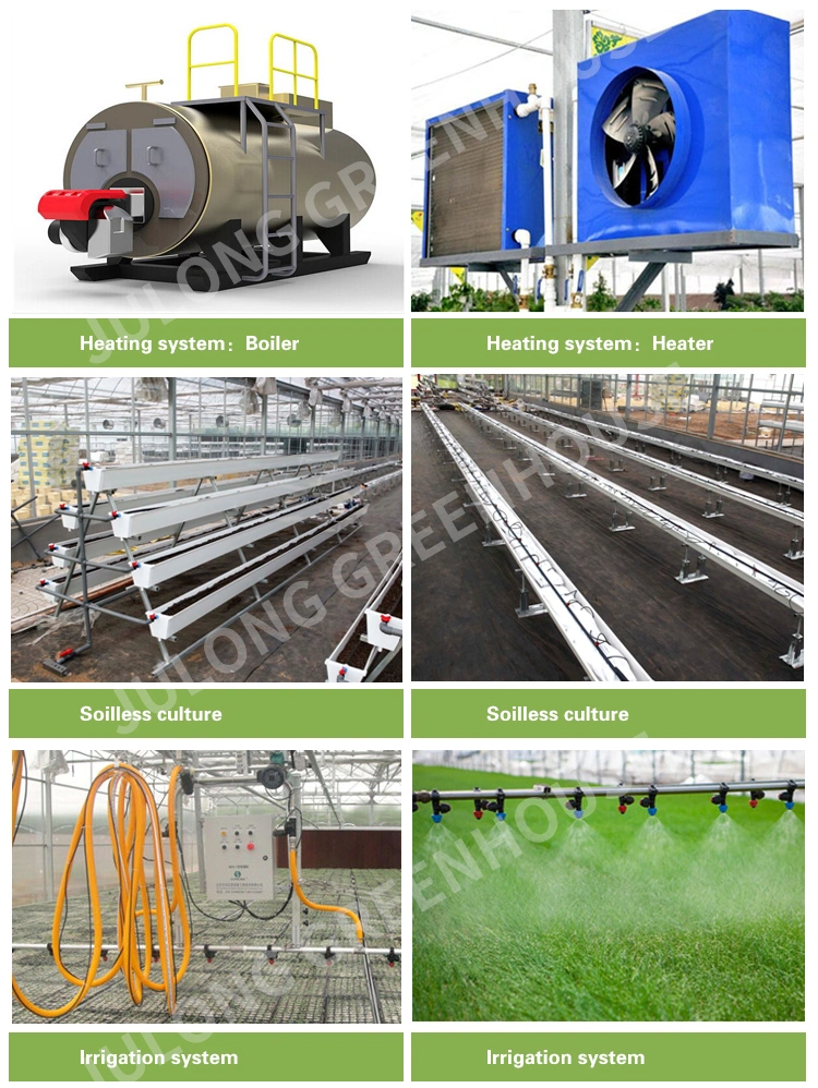 Agricultural Multi-Span/Single-Span/Tunnel Plastic Film Greenhouse with Irrigation System