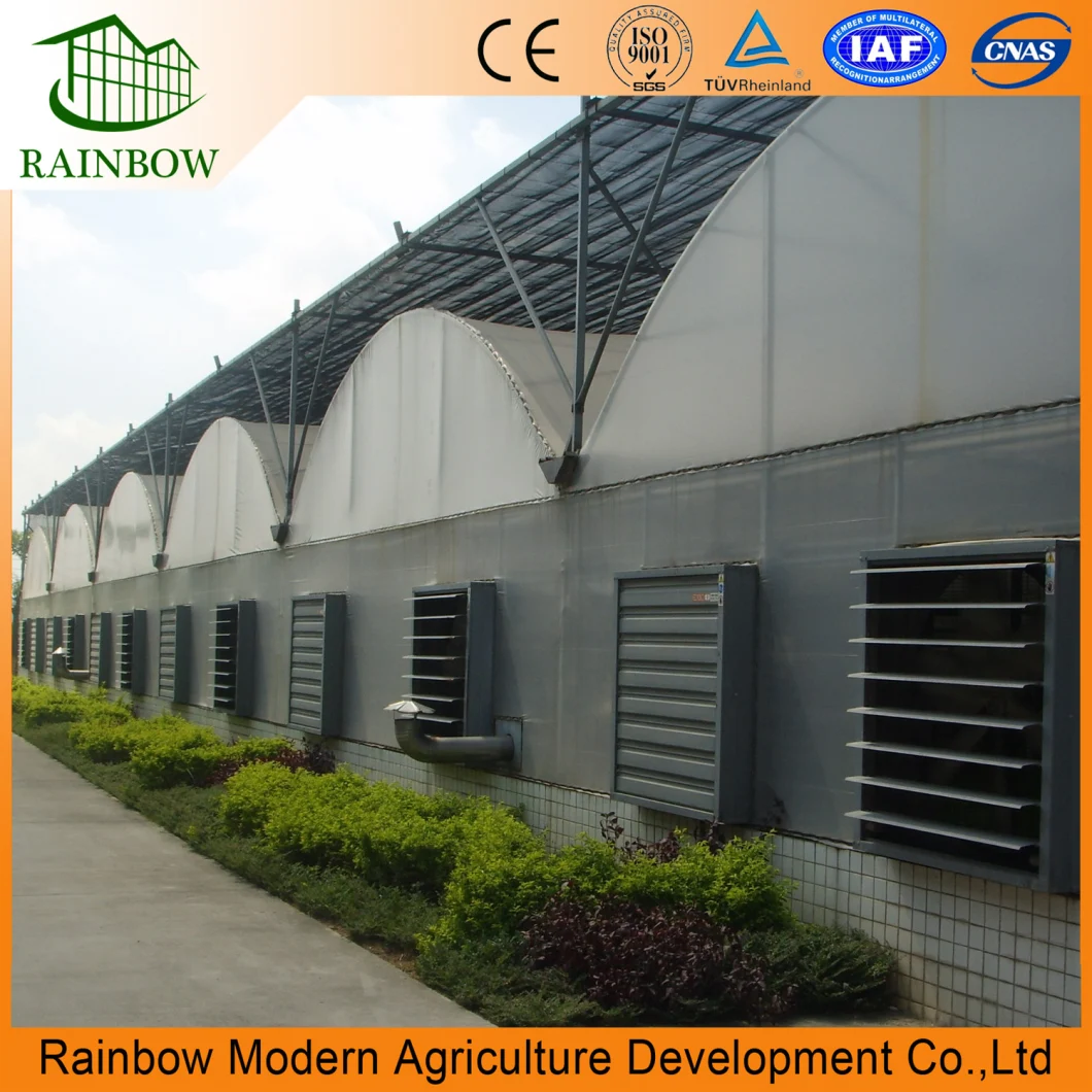 Multi-Span Arch-Type Film Greenhouse with Hydroponics System