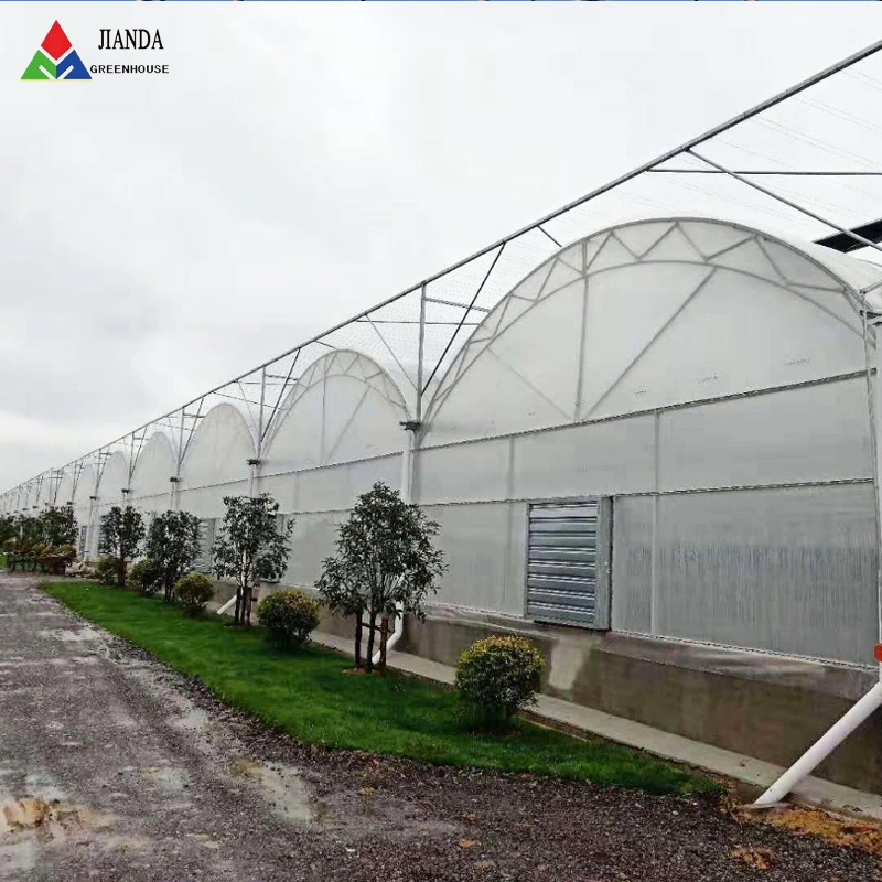 China Tunnel Polytunnel Greenhouse for Sale