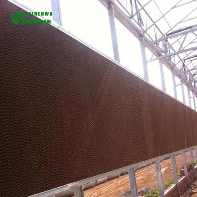 2019 High Quality Commercial Greenhouse Wet Wall