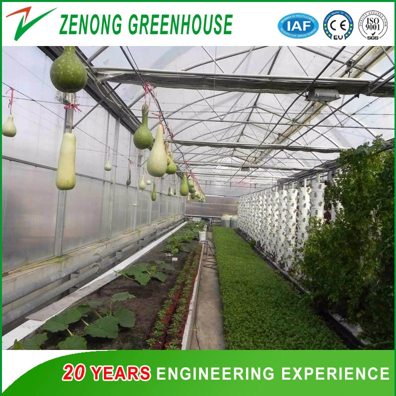 China Economical Multi Polytunnel Film Greenhouse for Vegetables/Flowers/Fruits Cultivation