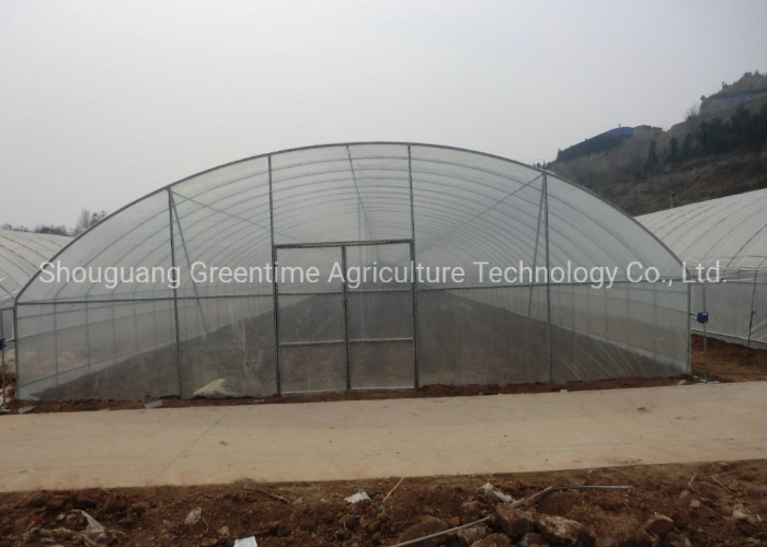 20m Length Gothic Greenhouse with Cooling/Shading/Hydroponic From China
