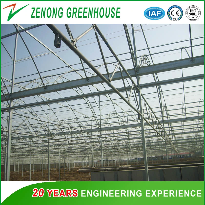 Large Size Multispan Plastic Film Covered Arch Greenhouse for Tomato/Cucumber/Melon/Strawberry