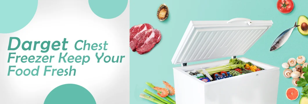 Commercial Grade Refrigerator Meat Ice Cream Display Freezer Commercial Display Freezer