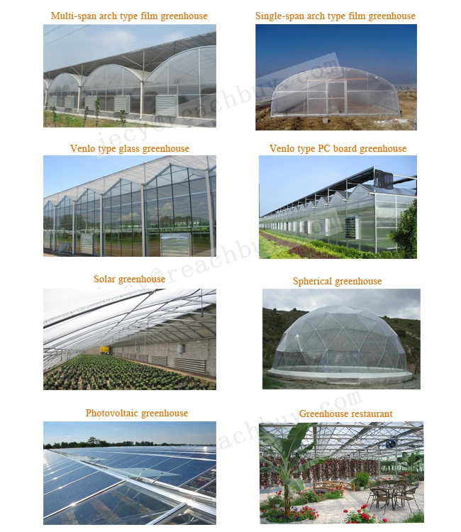 Venlo PC Greenhouse or Venlo Type Polycarbonate Greenhouse