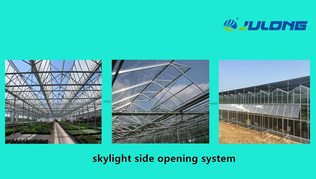 Agriculture Commercial Greenhouse with Light-Duty Steel Structure for Sale