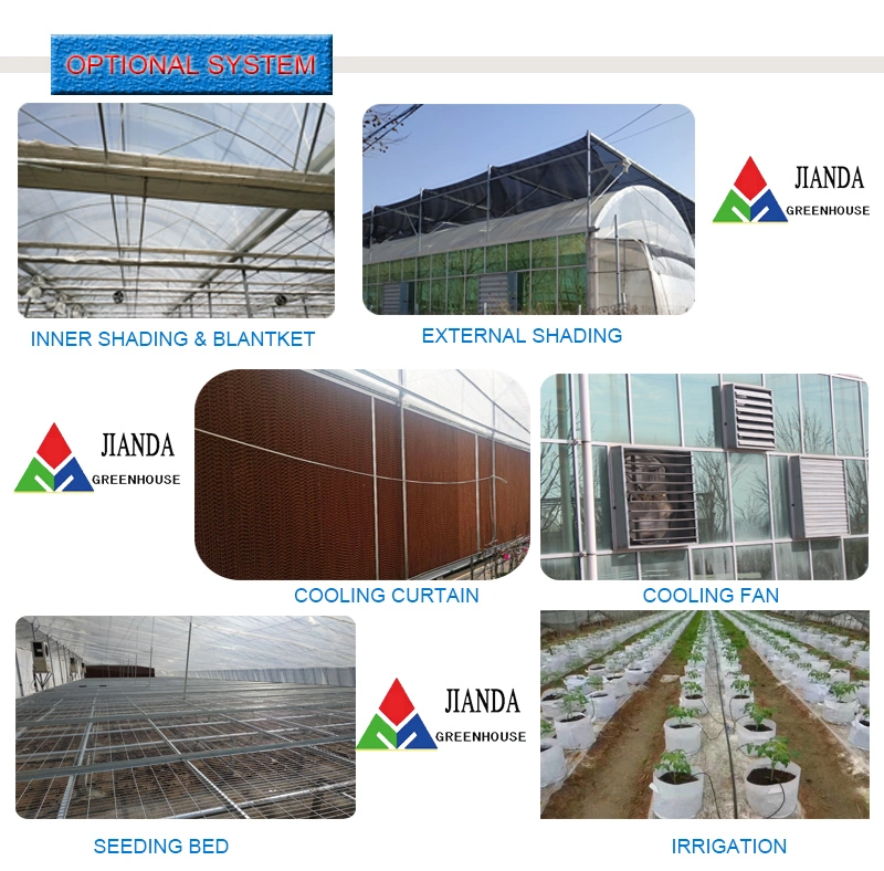 Low Cost Single Layer Film Single Span Greenhouse for Sale