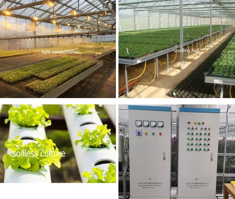 Hydroponic Controllers Greenhouses and Commercial Hydroponic Systems