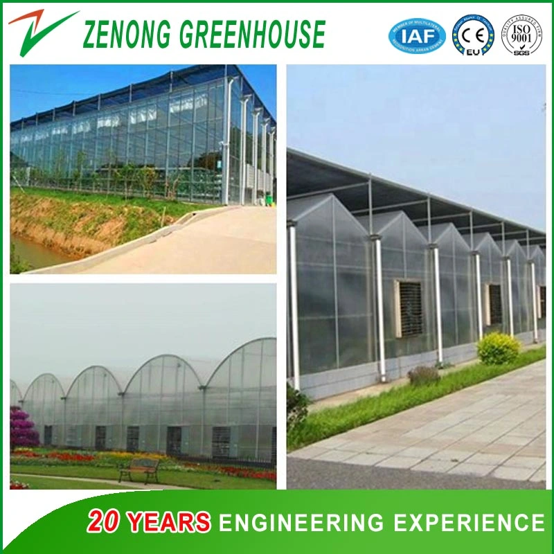 Multi Span Glass Greenhouse Intelligent Glass/PC Greenhouse for Planting/Cultivation/Agriculture