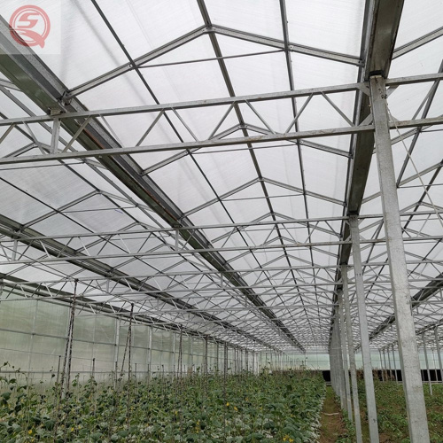 Hydroponic Growing System/Venlo Agriculture PC Sheet Greenhouse for Vegetables/Flowers/Tomato/Cucumber/Salad