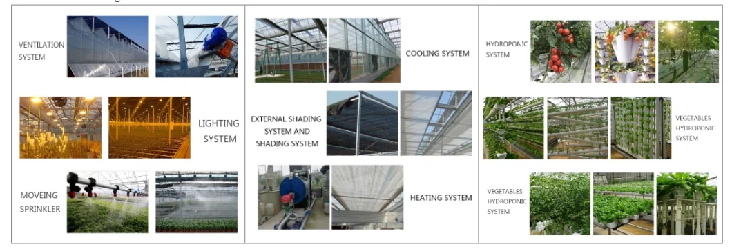 China Agriculture Polycarbonate Greenhouse/Green Hosue/Greenhouses