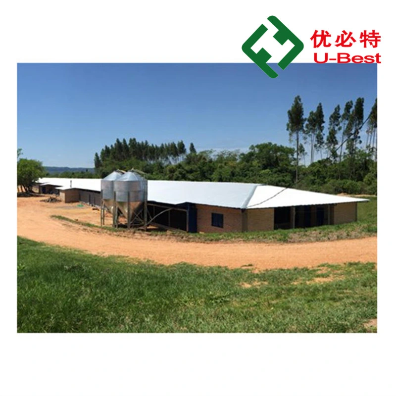 Completely Automatic Used Poultry House Chicken Farming Equipment for Sale