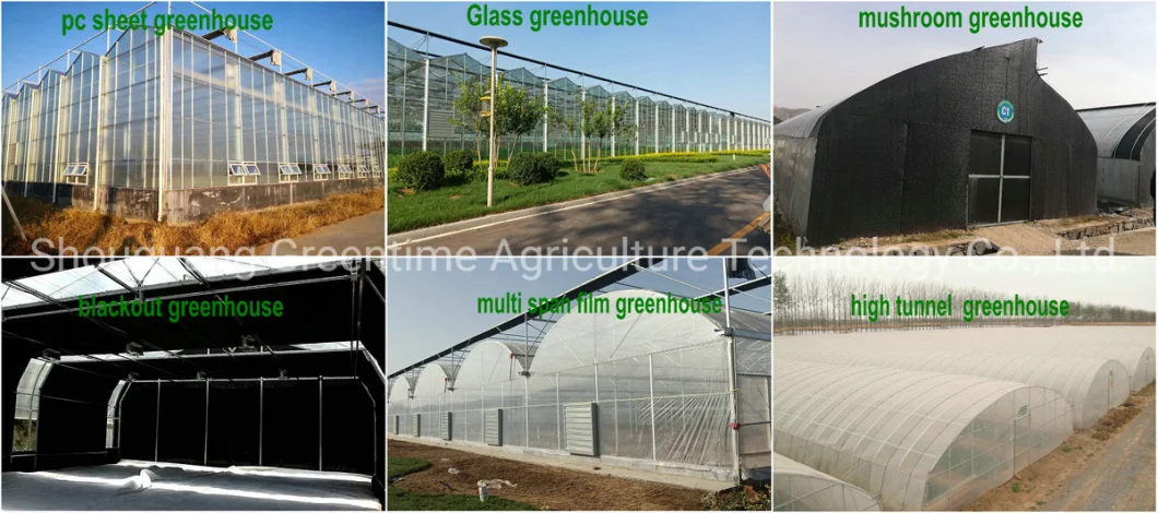 Commercial Light Deprivation Greenhouse for Medical Plants Growing