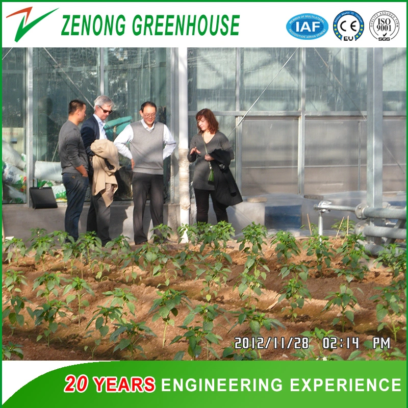 Intelligent Multi-Span PC Greenhouse for Vegetabels/Flowers/Seeds Breeding