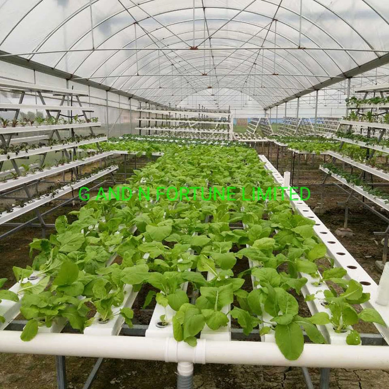 32#45 Greenhouses Vegetables Lettuce Hydroponic System Growing Plants Hydroponic Slotted Mesh Net Pot