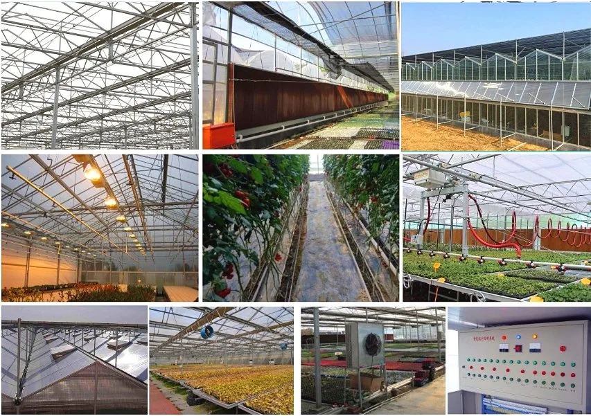Commercial Multi-Span Glass Venlo Greenhouse for Flowers