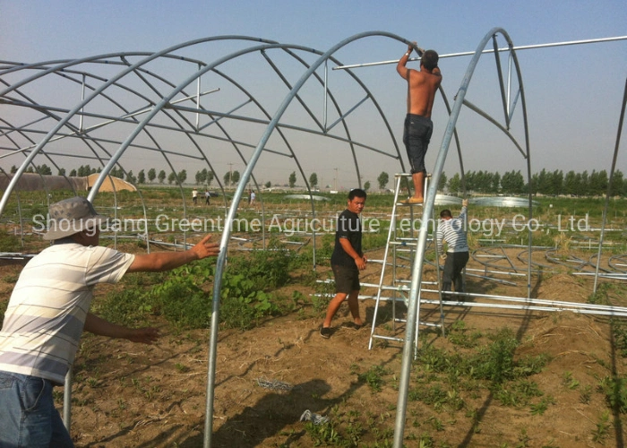 Large Size Tunnel Greenhouse for Seed Breeding/Vegetable/Flowers Growing