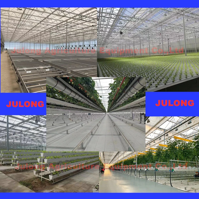 Polycarbonate Greenhouse Commercial Aquaponic Greenhouses for Agricultural Vegetables Flower Fruit Hydroponic Systems