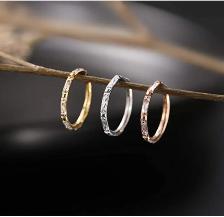 G23 Titanium Hoop Fashion Jewelry Hinged Nose Hoop Nose Rings Segment Clicker