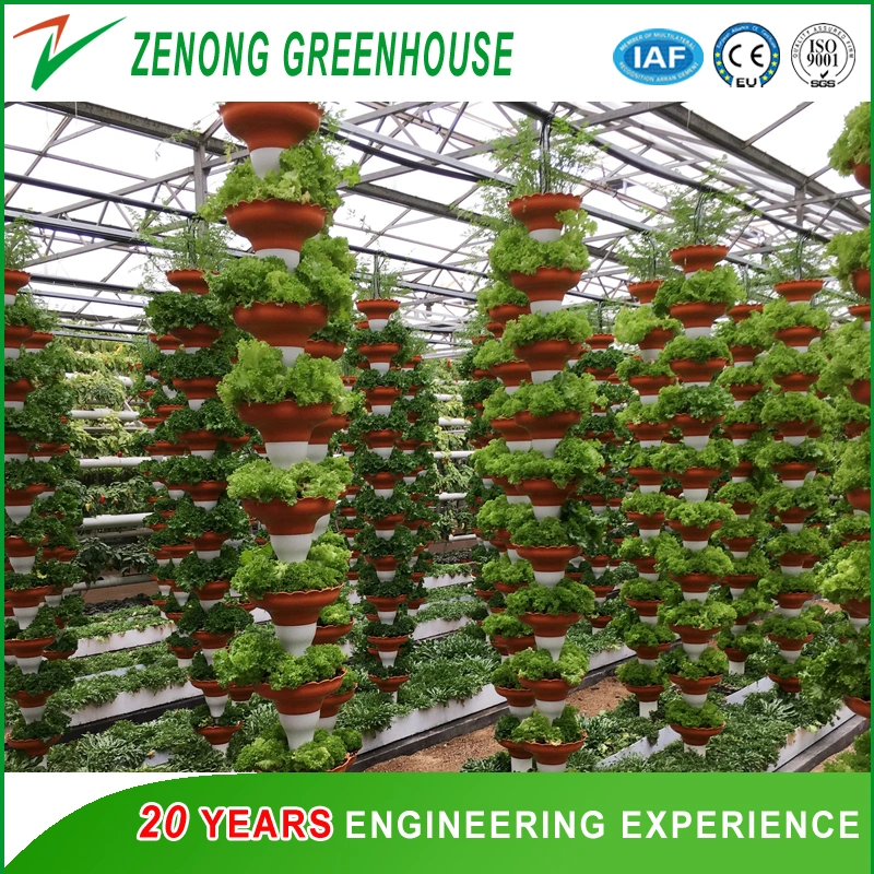 Commercial Beautiful Glass Multi-Span Greenhouse with Shading Net/Exhaust Fan/Ventilation