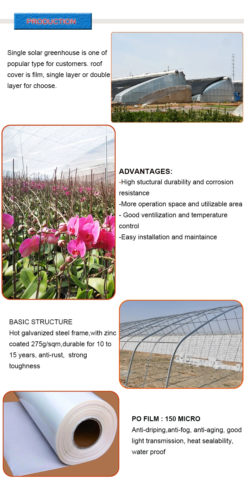 Solar Tunnel Single Tomato Greenhouse for Farm