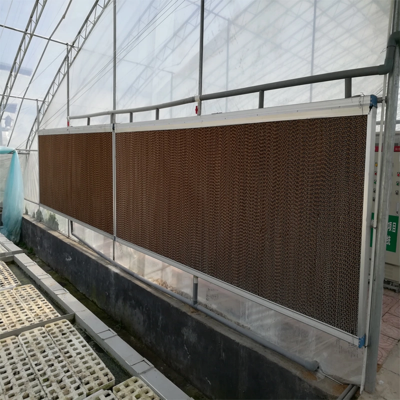 Cheap Hot Sale Multi-Span Plastic Film Agriculture Greenhouse for Tomatoes/Cucumber