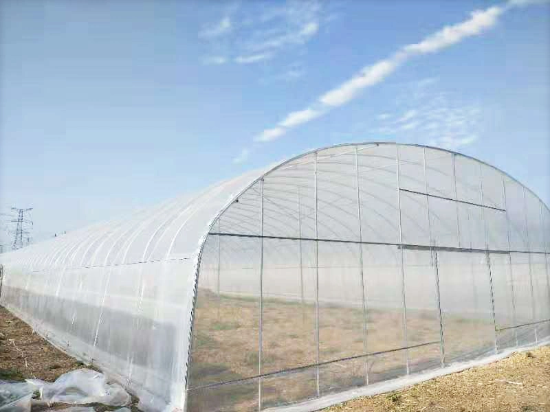 Cheap Light Deprivation Greenhouse for Vegetable Growing