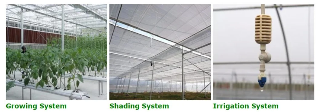 Cheap Agricultural Multi-span Inner Shading System Cooling Film Greenhouse