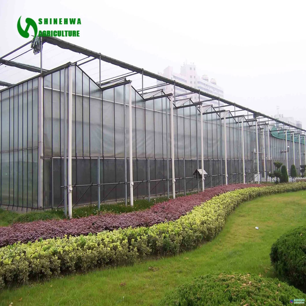 Commercial Agricultural Multi-Span Venlo Tempered Glass Greenhouses for Hydroponics Growing Tomato/Cucumber/Lettuce/Vegetable/Flower