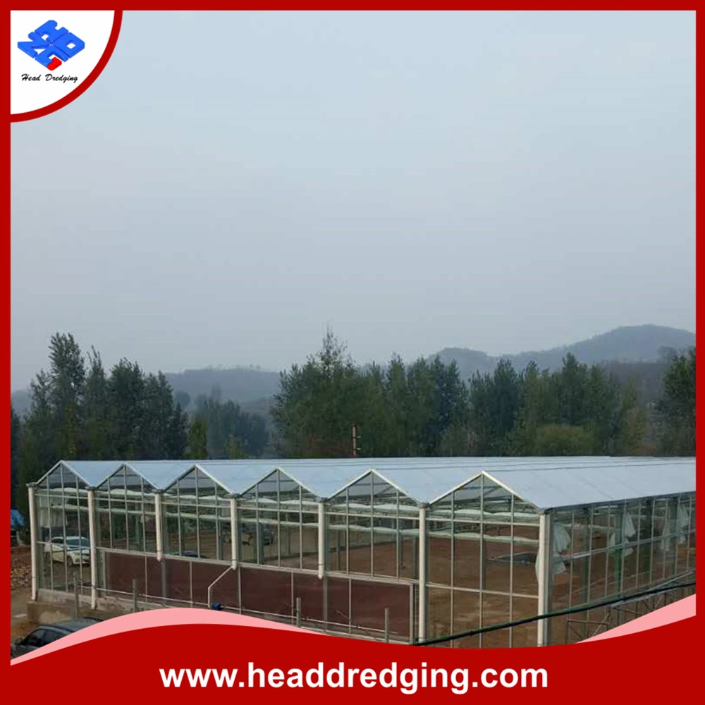 Low Price Chinese Agricultural PC Sheet Greenhouse with Hydroponic System for Tomatoes/Peppers/Cucumbers