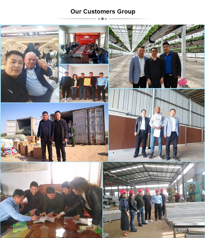 LED Grow Light Deprivation Greenhouse for Medicine Plant Green House