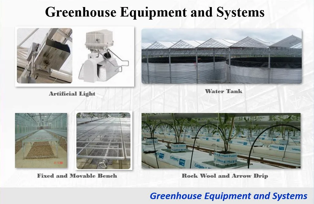 Grow Hydroponics Greenhouse for Vegetable/Tomato/Cucumber/Pepper