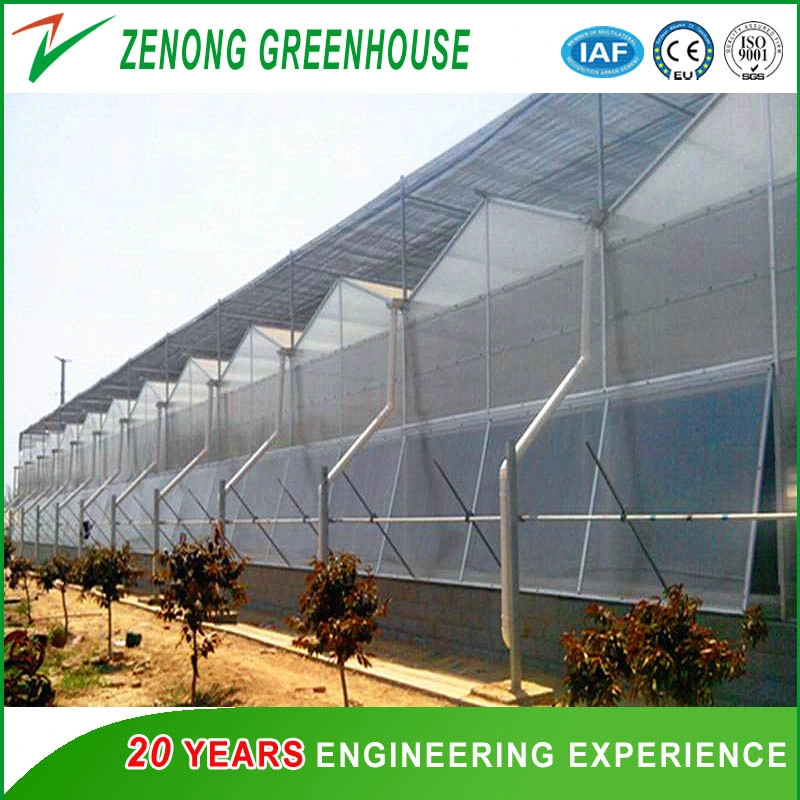 Intelligent Multi-Span PC Greenhouse with Outside Shading Net System for Vegetables/Eco Restaurant