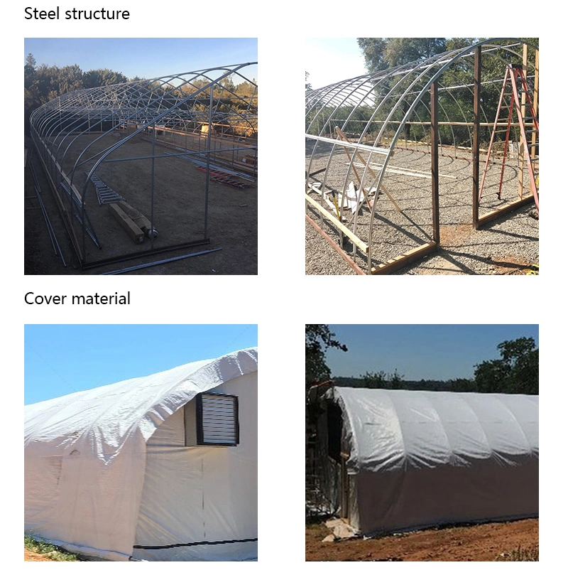 Single-Span Film Blackout Greenhouse with Shading System for Flowers and Vegetables Factory Direct Sale