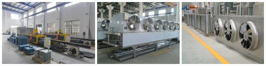 Customized Industrial Tunnel Blast Freezer/Impact Tunnel Freezer/IQF Tunnel Freezer for Fish/Shrimp/Aquatic Products with High Efficiency