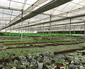 Agricultural Intelligent Glass Greenhouse with Hydroponic Systems for Planting Tomatoes/Cucumber/Eggplant/Lettuce/Pepper/Chili