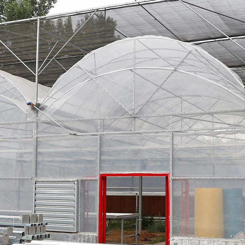 Tropical Fruit Grow Greenhouse with Roof Roll up Ventilation