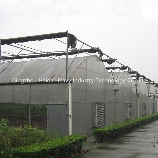 Multi-Span Arch Type PC Film Greenhouse for Export